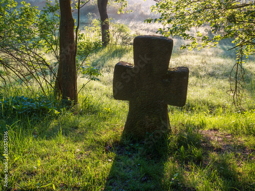 Mittelalterliches Steinkreuz im Wald im Morgenlicht, Sühnekreuz, Mordkreuz, Thüringen, Deutschland 