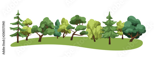 Forest trees, horizontal landscape. Green woodland, nature panorama. Summer w...