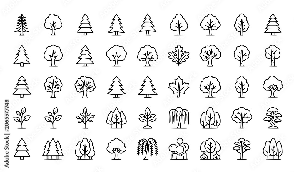 Fototapeta premium Professional Woodland and Evergreen Tree Line Icons for Maps Branding and Digital Design