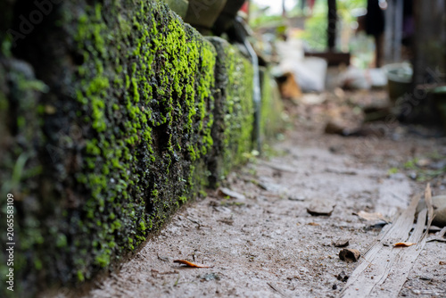 Low Angle View Of A Moss-Covered Stone Wall Next To A Dirt Path
