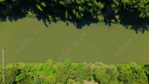 Top-Down Aerial View of Tropical River Surrounded by Lush Forest