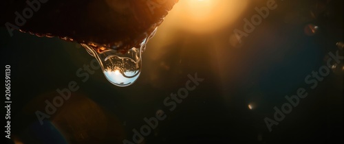 Macro shot showing a single...