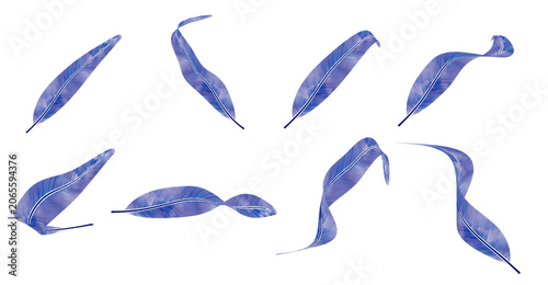 Set of blue feathers in different style on transparent background 