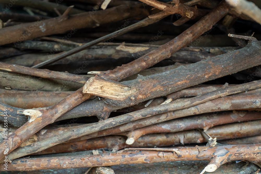 Fototapeta premium Close-Up Of A Pile Of Dry Wooden Branches And Twigs