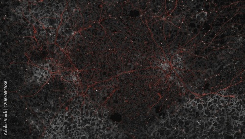 Neuronal structures in a da...
