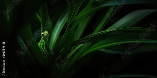 Nature's beauty captured in...