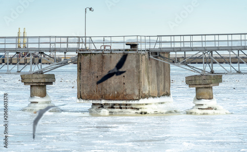 a frozen transshipment port over which birds fly