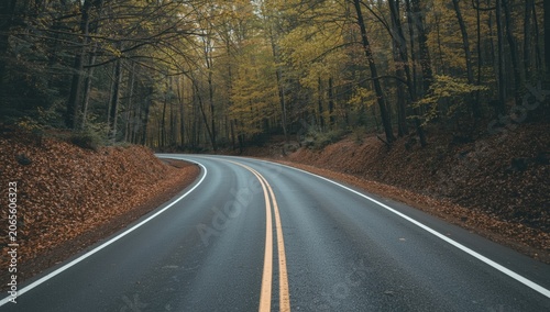 Scenic forest route with cl...