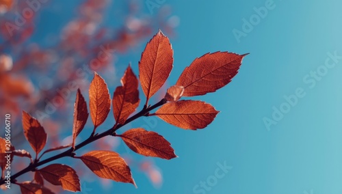 Red autumn leaves against a...