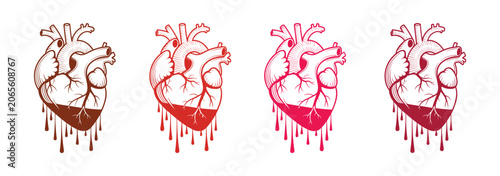Bild auf Leinwand Anatomical Heart Dripping: A series of four stylized anatomical hearts, each depicted with a base filled with a dripping liquid in varying shades of red and brown