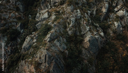 Mountain terrain showing ve...
