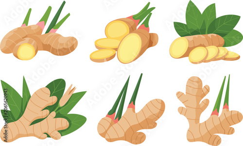 Photos Fresh ginger root slices and leaves on white background healthy spice ingredient