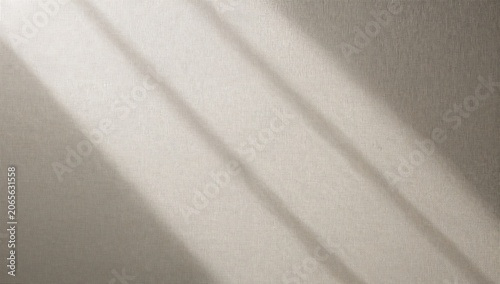 Minimalist White Wall with Soft Shadow Lines and Textured Surface