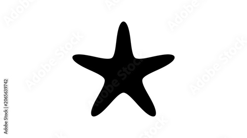 Black starfish marine animal closeup.