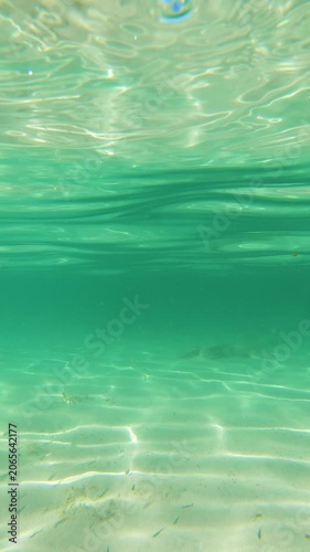 Vertical sea surface transition to clear underwater view with fish and caustics in Alghero Sardinia showing Mediterranean marine life and sunlight patterns underwater.