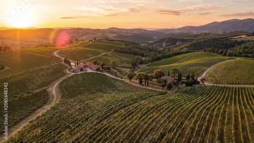 Aerial tracking shot of vineyard rows sweeping across rolling tuscan hills with farmhouse and winding dirt road at golden sunset, calm pastoral evening