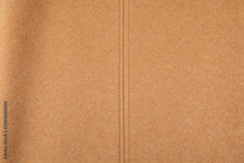 Fototapeta premium Winter Snow Field Vast