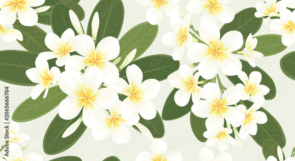 Fototapeta premium Tropical seamless pattern of white and yellow plumeria frangipani flowers and dark green leaves for summer, spa, and vacation wallpaper.