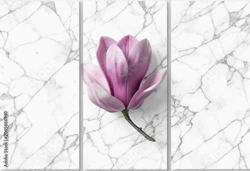 Magnolia Bloom on Marble: A single, delicate pink magnolia blossom rests gracefully on a textured marble surface, creating an elegant and serene composition.