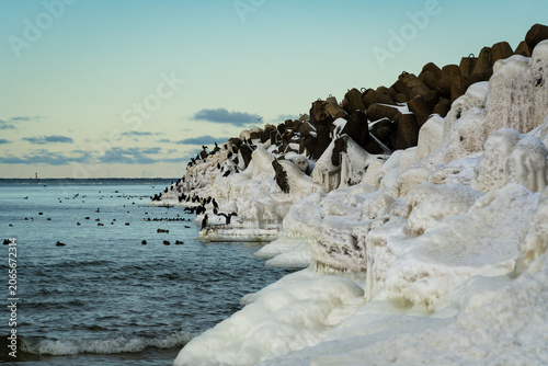 rocks in the sea