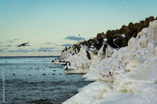 rocks in the sea