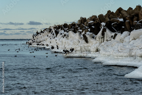 waves and rocks