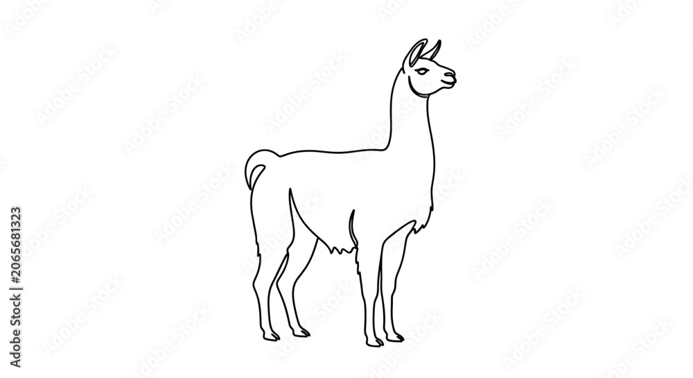 Fototapeta premium A simple line drawing of a llama standing on a white background with a minimalist style.