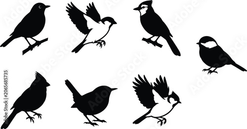 Photos Black and white songbirds and flying sparrow silhouette icons set isolated on a