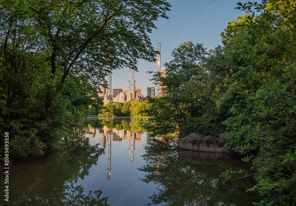 Fototapeta premium Central Park summer, early morning