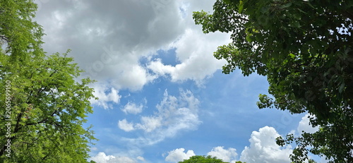 Fotografía A low-angle view of the sky