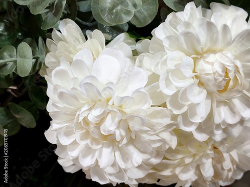 Foto ​A macro close-up of faux white dahlia or chrysanthemum fabric flowers layered closely together alongside soft green artificial eucalyptus leaves