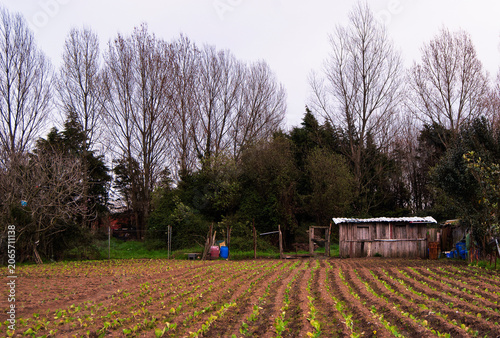Farm Photo