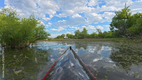 Immersive POV from a kayak - paddling on overgrown Boedecker Reservoir in Loveland, Colorado with water vegetation