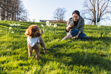 Woman taking photo of her dog in park