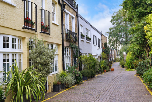 Quadro su tela London, cobblestone laneway with mews houses decorated with shrubbery