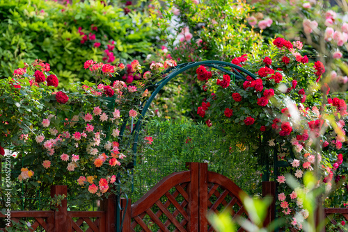 Spring blossoms frame courtyard gate with vibrant spring vibes