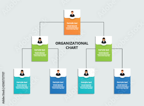 Corporate organizational chart with business avatar icons. Business hierarchy infographic elements