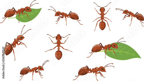 Photos Red ant vector illustration collection featuring various cartoon worker ants car