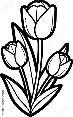 Simple outline drawing of three blooming tulips with leaves, black and white vector illustration