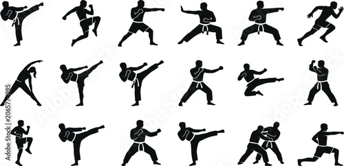 Tableau sur toile Martial Arts and Karate Silhouette Collection Featuring Kicks, Punches, Self Def
