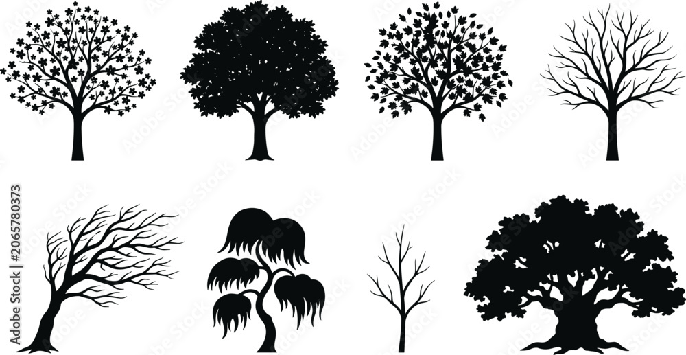Fototapeta premium Deciduous and coniferous trees silhouette vector set featuring oak, maple, weeping willow, windswept bonsai, bare winter branches, and botanical design elements.