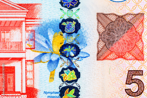 Canvas Print 5 Dollar Suriname Banknote with a fragment for designers