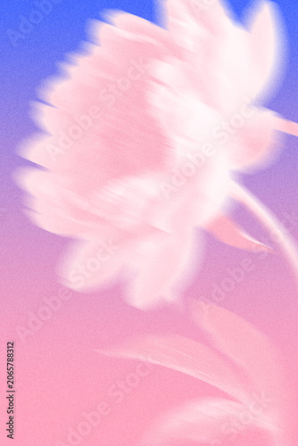 Abstract blurred pink peony flower with grainy noise effect on blue and pink gradient background. Trendy summer banner template for advertising, promo, social media, posters, sales discount.