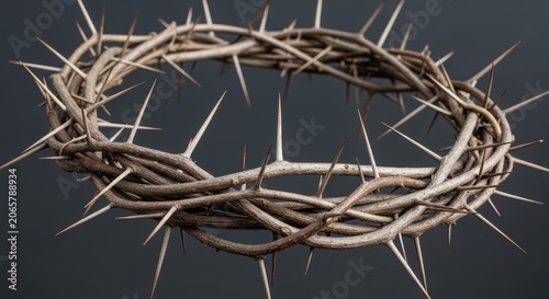 Intricate thorn crown with sharp protrusions