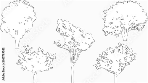 Photos Tree silhouette quintet