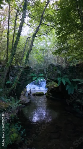 Landscape along a river near San Pedro del Romeral. Pas-Miera region. Pasiegos Valleys. Cantabria. Spain. Europe