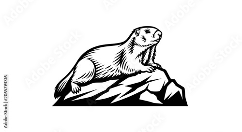 Black and White Woodchuck Illustration on Rock