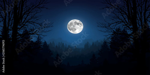 Bright Full Moon Over Dark Forest Trees Silhouette Night Landscape