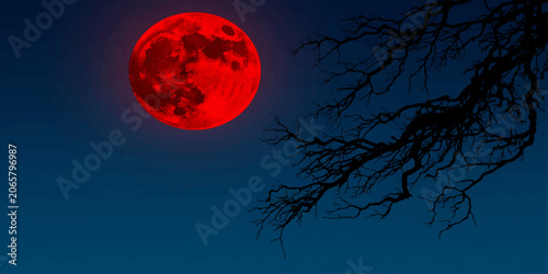 Blood Red Moon with Dark Tree Branch Silhouette on Night Sky