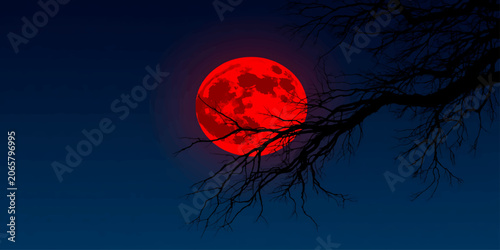 Blood Red Moon Behind Spooky Tree Branch on Dark Night Sky